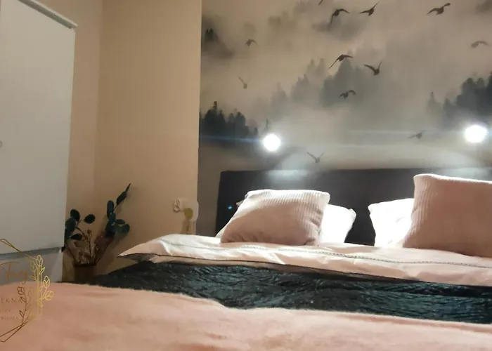 Chwilo Trwaj Dom Z Jacuzzi, Sauna I Kominkiem Z Widokiem Na Gory Pilsko בקתה *